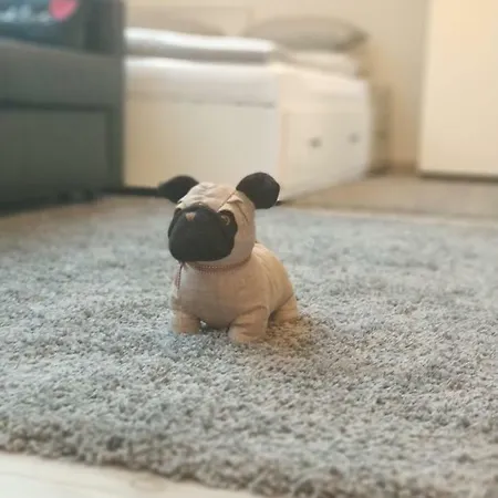 Belvarosi Apartmanszallo - *